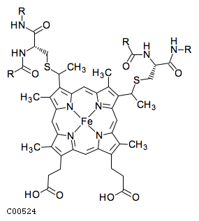 download the origin of structure in