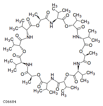 download colloidal