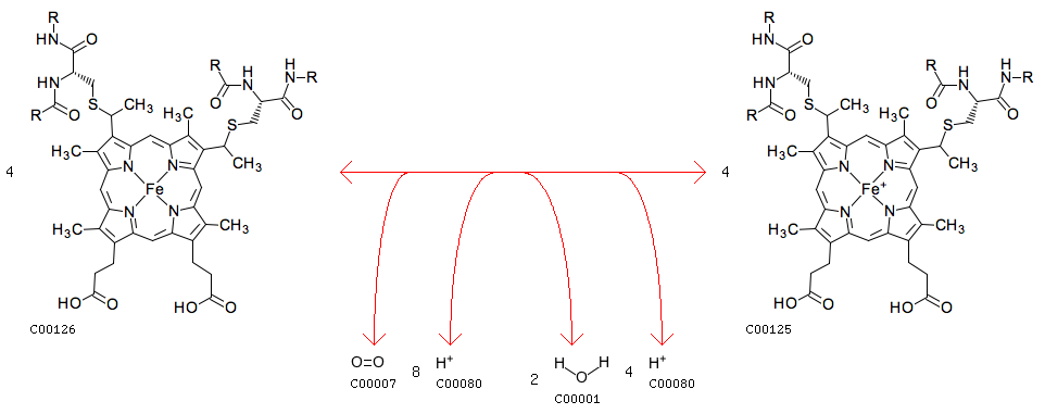 download classification