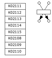 shi_M00157