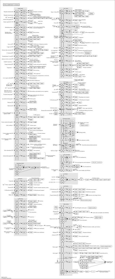 pae02020