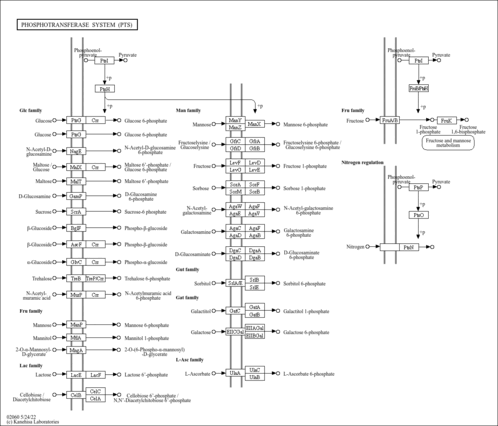 smt02060