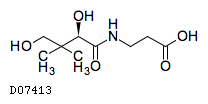 Kegg Drug パントテン酸 Kegg Drug パントテン酸