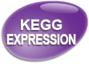 KEGG icon
