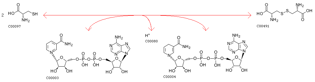 RNS C00003 (C00003) Connectique