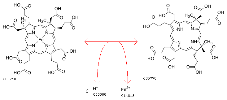 KEGG REACTION R02864