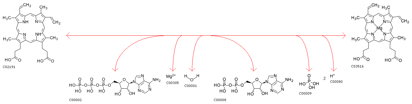 Chlorophyll, and what it tells us about intelligent design - Page 2 R03877