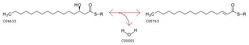 Kegg Orthology K