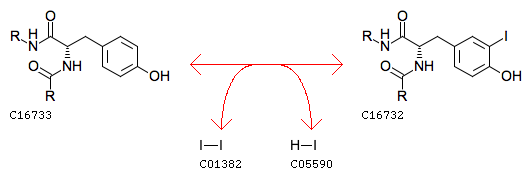 KEGG REACTION: R02810 KEGG REACTION: R02810