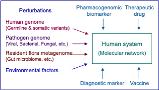 molecular network