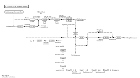 map00332