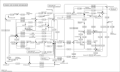 ssc00500