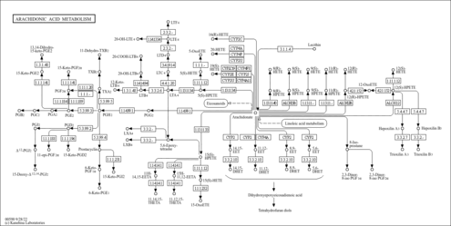 egr00590