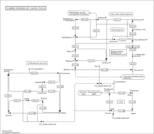 naz00710