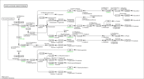 map00943