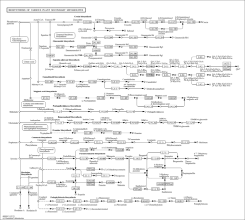 map00999