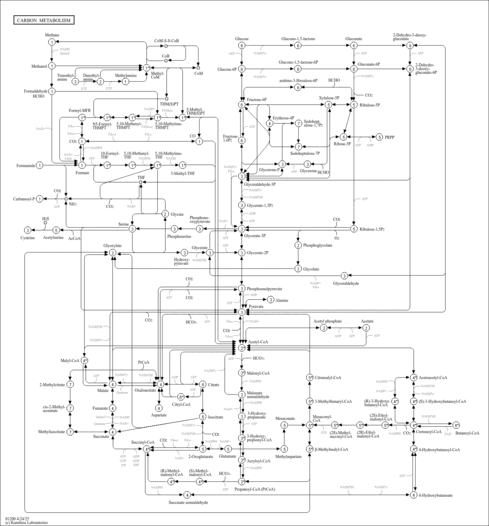 mci01200