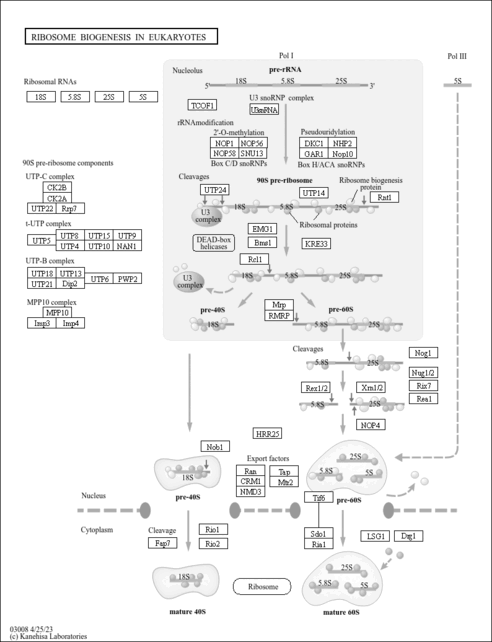 egr03008