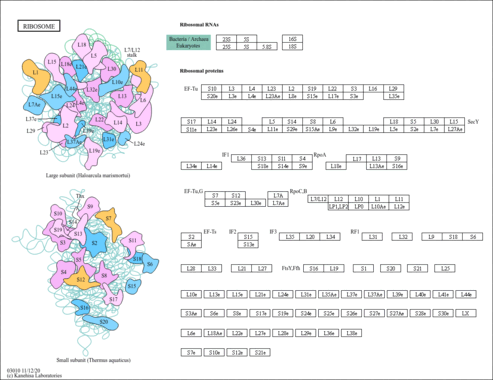 sma03010