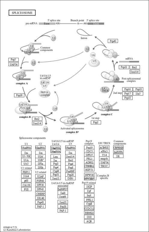 cal03040