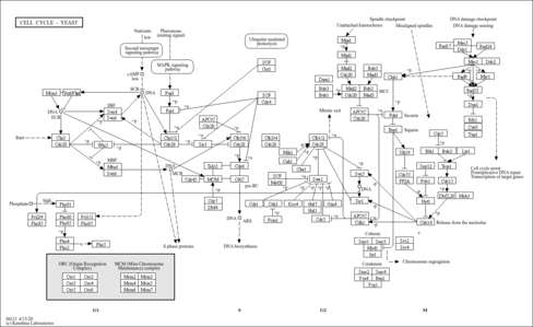 map04111