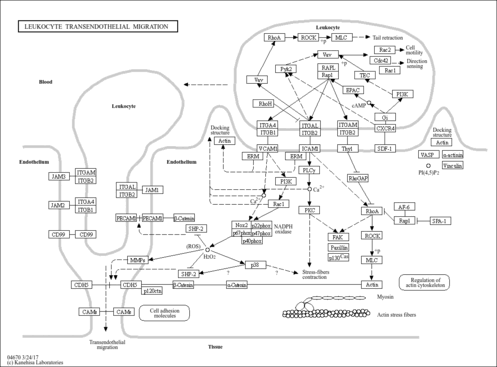 map04670