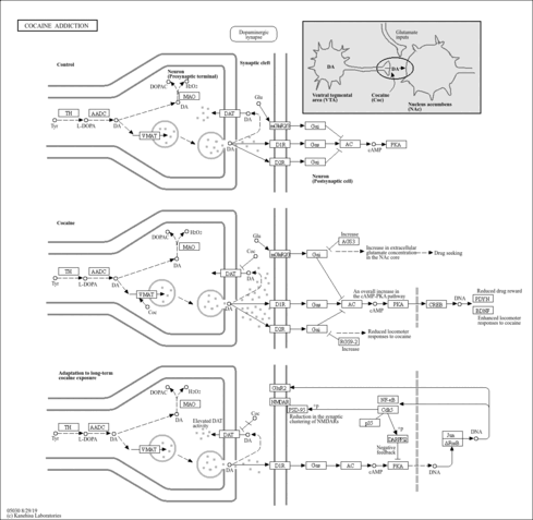 map05030