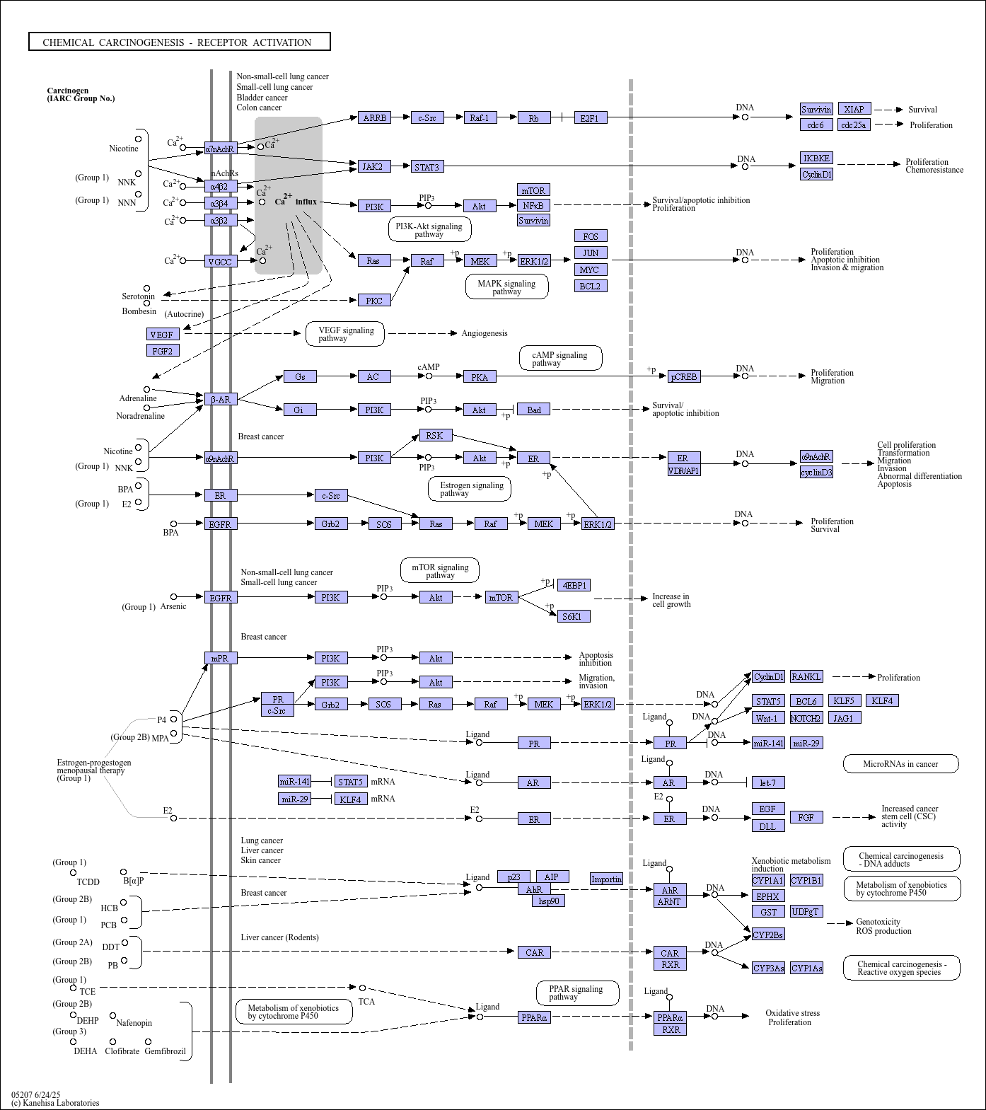 KEGG PATHWAY: Chemical carcinogenesis - receptor activation