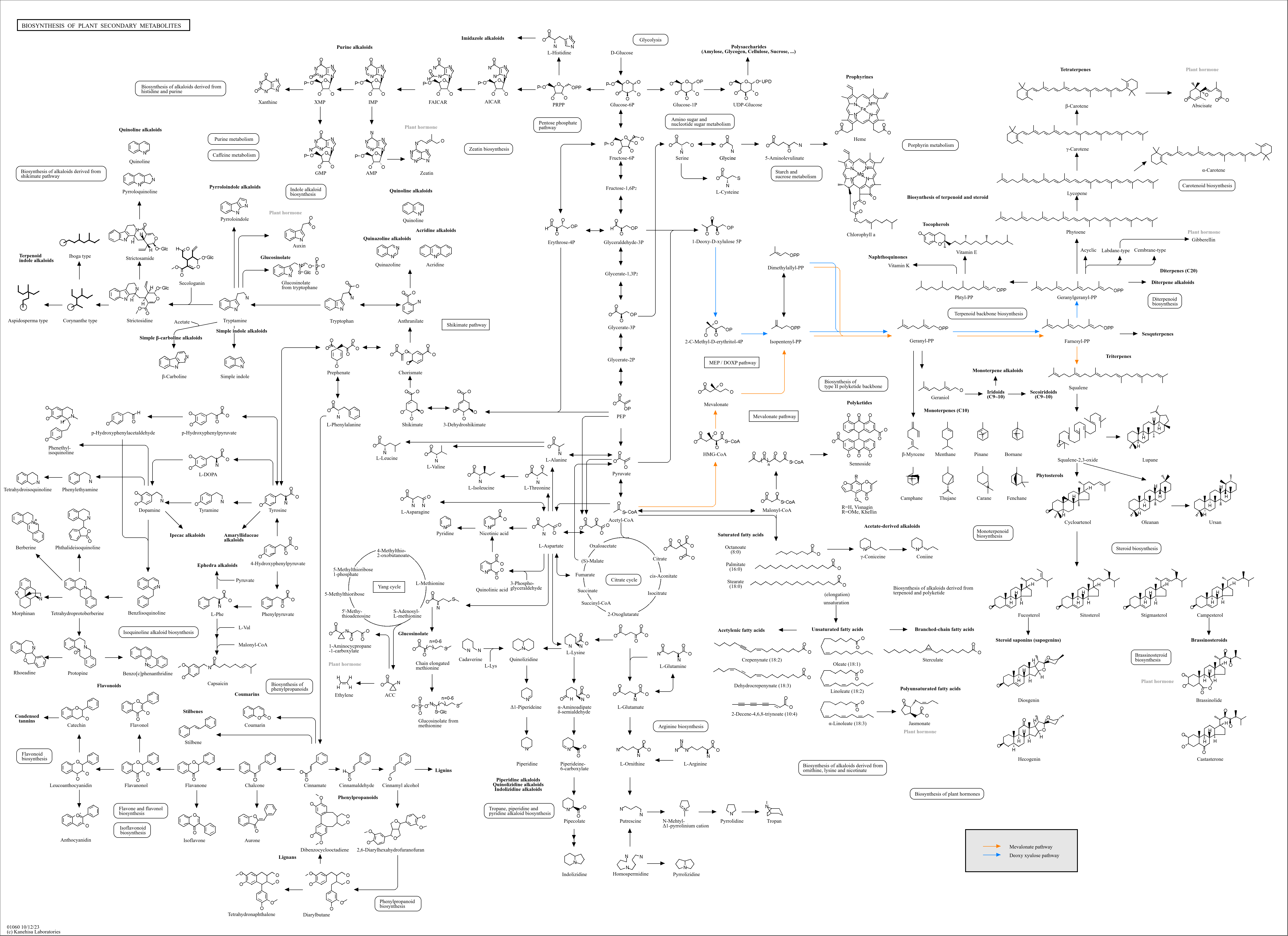 kegg-pathway-biosynthesis-of-plant-secondary-metabolites-reference