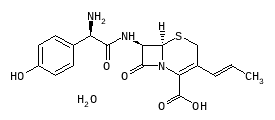 D00261