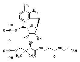 C00882