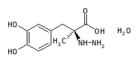 D00558
