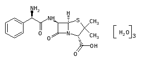 D01251