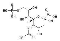 C06241