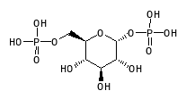 C01231