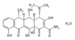 D00307