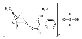 D00719