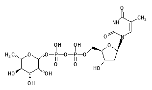 C03319