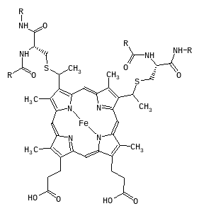C00524