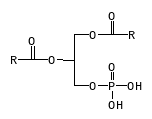 C00416