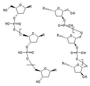 C00434