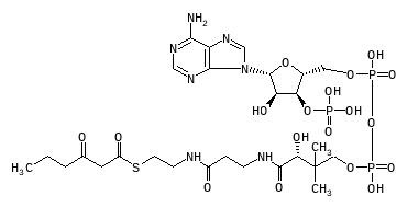 C05269
