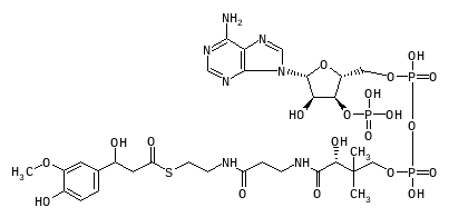C07303