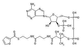 C00845