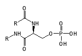 C01293