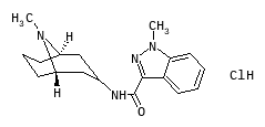 D00677