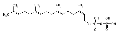 C11356
