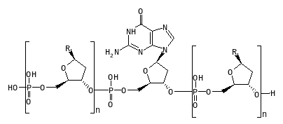 C11475