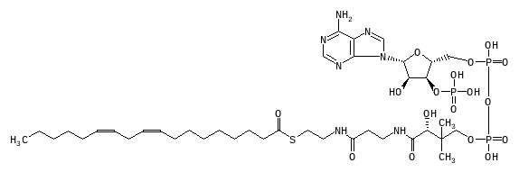 C02050