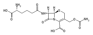 C06568